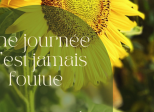 ... quand on a capturé des rayons de soleil sauvage.