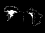 Chapitre 2 - Alors, un chien ?