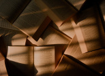 Le salon du livre et de la presse jeunesse 2022 à Montreuil (93)