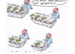 Un revenu universel équitable et porteur de développement socio-économique