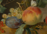 Nature morte