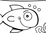 Et si j'étais poisson ?