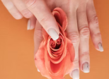 Clitoris