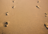 Du mauvais pied ?