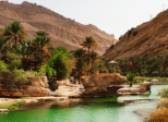 Oasis