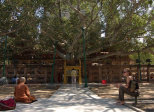 Sur les traces du Bouddha