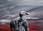Westworld - Saison 2