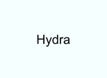 Hydra