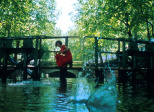 Le fabuleux destin d'Amélie Poulain (2000) Jean-Pierre Jeunet