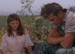 A l'est d'Eden (East of Eden, Elia Kazan, 1955)