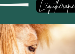 L’équitéraphie