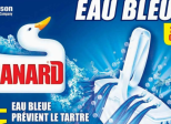 Canard