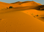 Sahara