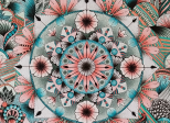 Rayonnement Floral