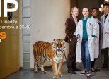 HP - Saison 1
