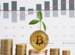 Bitcoin ETFs “on fire”