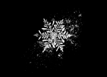 Un flocon de neige