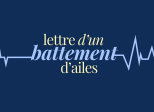 Lettre d'un battement d'ailes