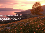 Jour 189
