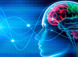 Neuroplasticity – A motivational cue to understand learning