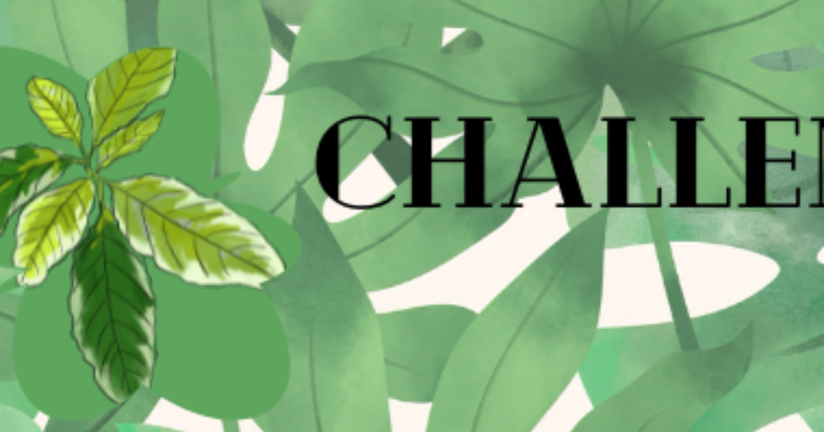 Challenge - Jalap