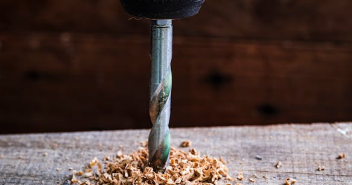 Termite