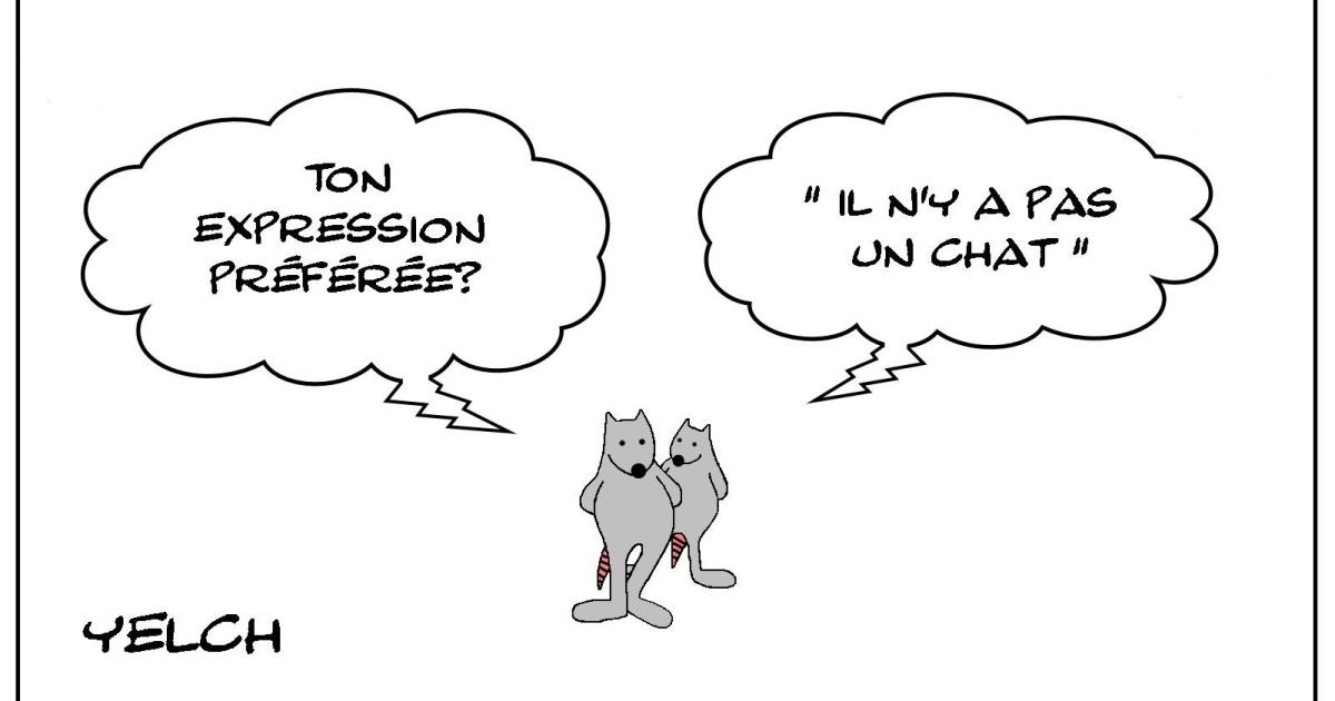 Il n'y a pas un rat? Mais si! 