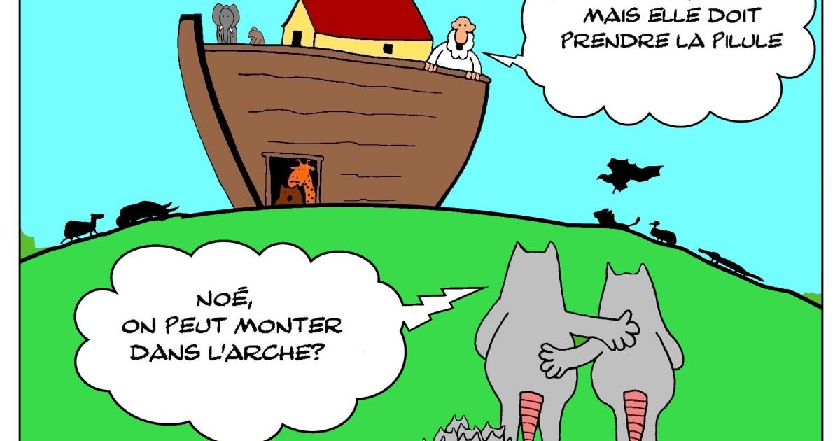 Noé et les rats