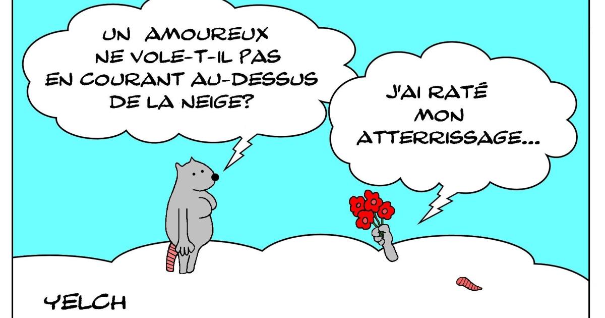 L'amour en volant