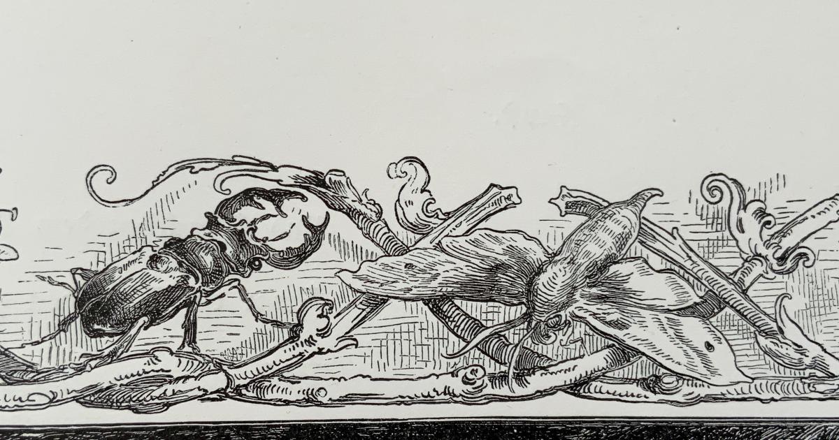 Le jardin du 25 Août 