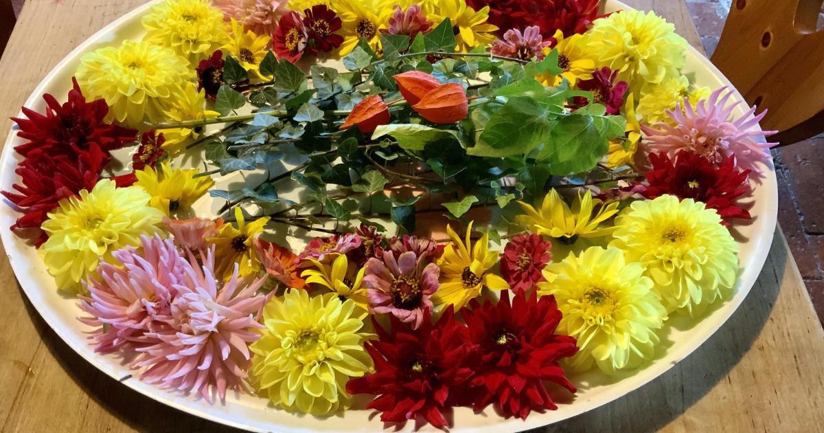 Le jardin de fleurs du 8 Octobre 