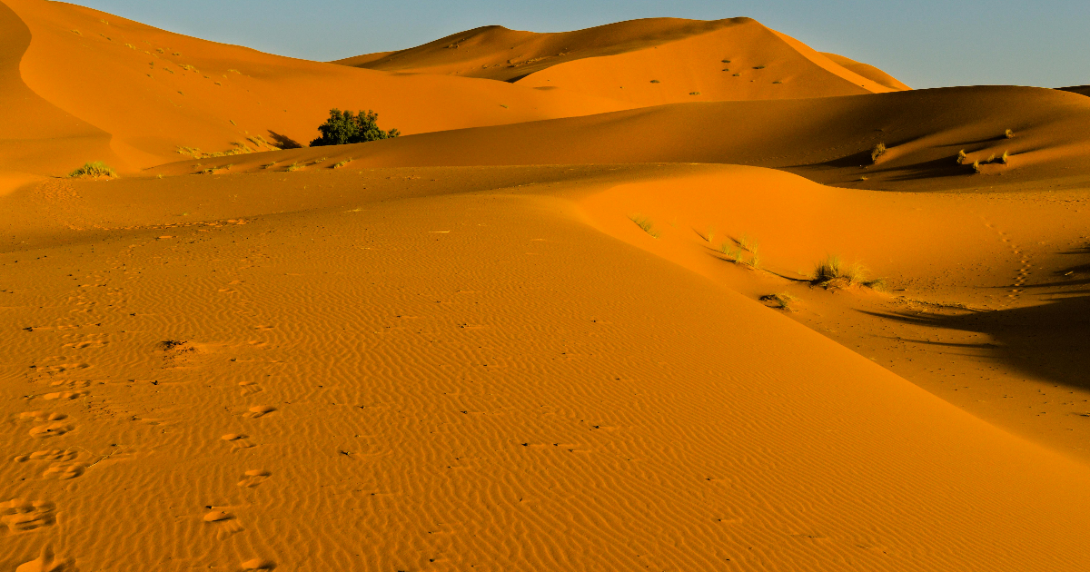 Sahara