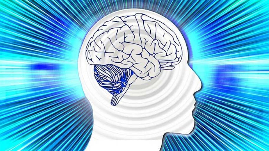 Tout cerveau lent doit faire appel à plusieurs ficelles pour être dirigé avec humour !