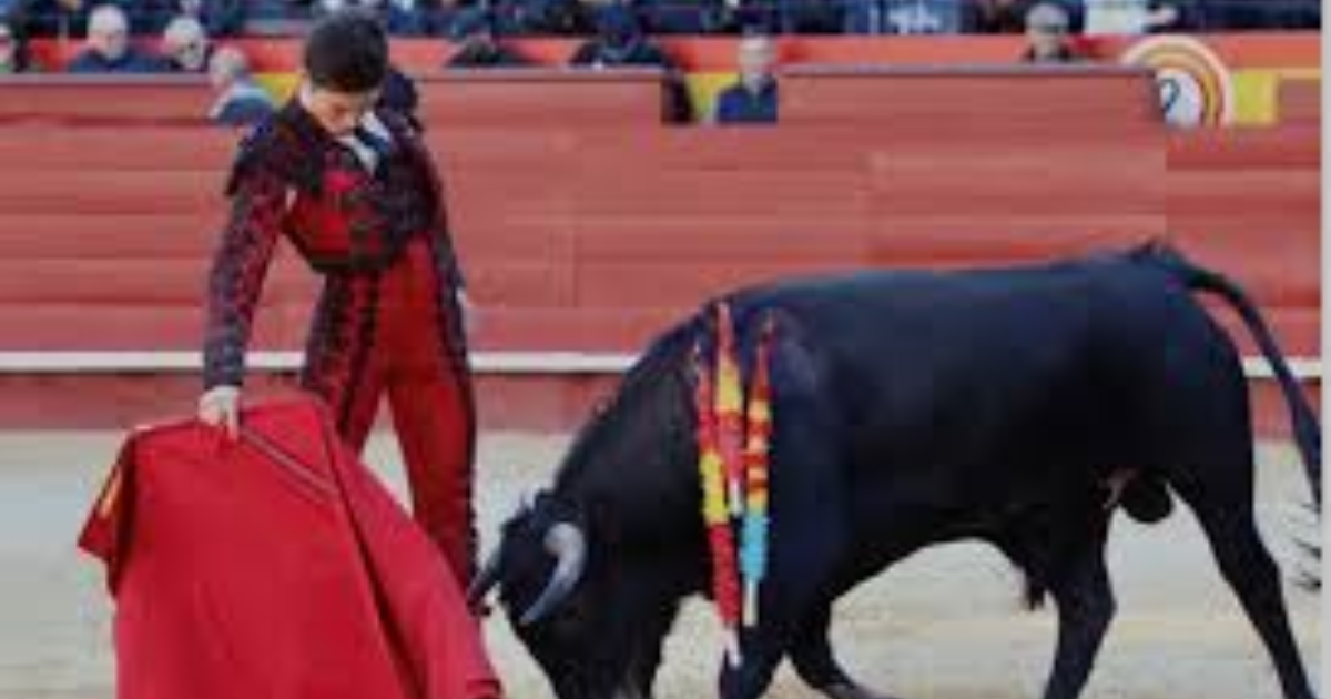 Toréro