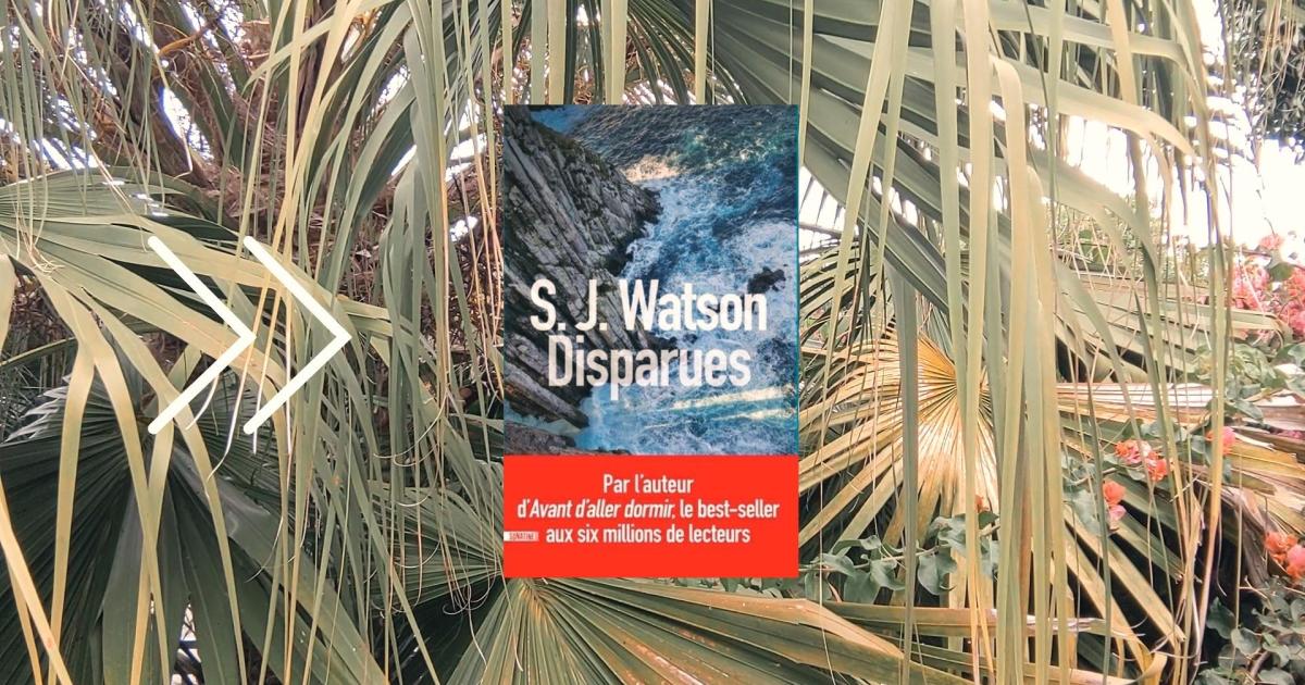 BookTube lecture commune : Disparues - S.J Watson