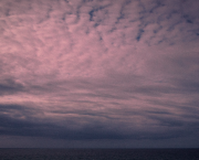 la cinquième langue