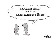 Le rat qui avait la grosse tête
