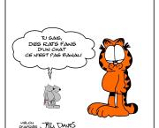 Hommage à mon chat préféré