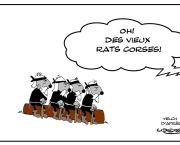 Vieux rats corses - clin d'oeil à Uderzo