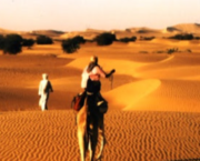 Poésie : Un désir nommé désert