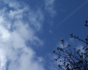 Symbolique du papillon (1)