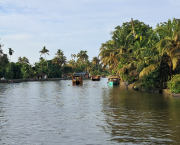 Premiers jours dans les Backwaters