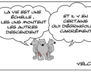 La vie , une échelle souvent casse-gueule