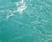 Premier texte, amour, monde et toi.