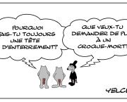 Le rat qui faisait une tête d'enterrement