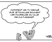 Le rat du club de culturisme