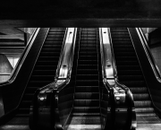 🤝🏻 Alliance souterraine