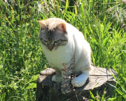 Looping - 23/04/2024