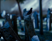 Allée quatre et rang deux