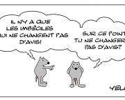 Les imbéciles immuables